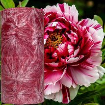 Peony Scented Palm Wax Pillar Candle Hand Poured - £19.98 GBP+