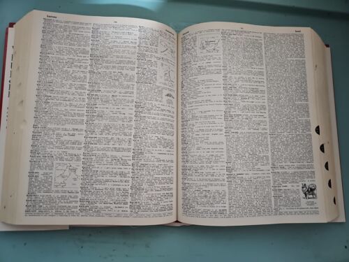 Webster's Encyclopedic Unabridged Dictionary of the English Language Large Item image 5