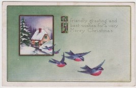 Merry Christmas Whitney Postcard 1920 Bluebirds Fredonia Kansas Salem Ohio - $2.99