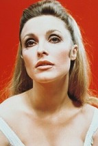 Sharon Tate vintage 4x6 inch real photo #320410 - $4.75