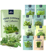 Organic Herb Seeds for Planting Indoor Outdoor and Hydroponic Garden Var... - £15.85 GBP