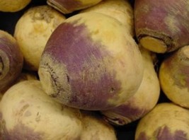 KKG 100 Rutabaga American Purple Top Seeds Easy Grow - $9.12