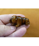 Y-PANT-563 Brown Tiger&#39;s eye PANTHER stone LEOPARD big wild cat GEMSTONE... - $379.94 MXN