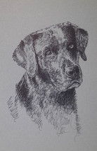Black Labrador Retriever Dog Art Portrait #73 Kline Adds Dogs Name Free. Lab - £39.65 GBP