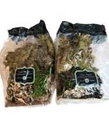 The Moss Collection Assorted Decorative Moss For Crafts &amp; Terrariums Rei... - £9.65 GBP