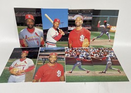 Ozzie Smith Lot of (5) Packs of Eight Barry Cola Photo Postcards - 40 in... - £15.70 GBP