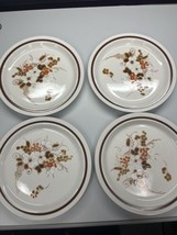 4 Vintage Four Seasons Collections Autumn Bouquet  Dinner Plates 10.5” Japan - £17.17 GBP