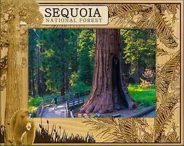 Sequoia National Forest Laser Engraved Wood Picture Frame Landscape (5 x 7) - £23.14 GBP