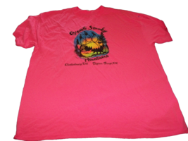 Great Smoky Mountains Gatlinburg Pigeon Forge TN pink T-Shirt Size 2XL - $12.86