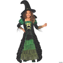 Storybook witch child large - $88.49