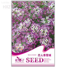 White Spice Snowball Flower Original Package 50 seeds - $8.98