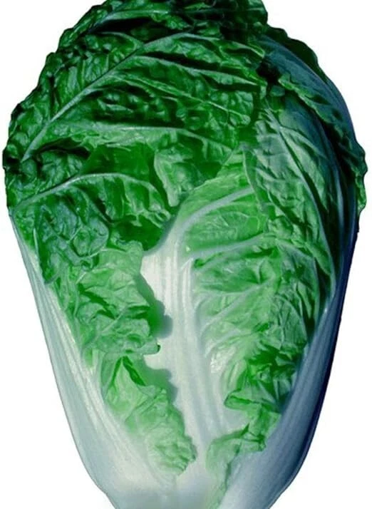 200+ Chinese Cabbage -Pak Choi White Stem (Bok choy) -- Heirloom -- NON GMO - $3.33