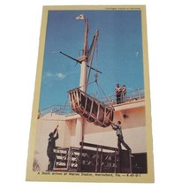 A Shark Arrives at Marine Studios Marineland Florida Postcard Vintage Marineland - £1.99 GBP