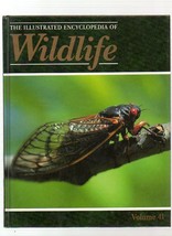 THE ILLUSTRATED ENCYCLOPEDIA OF WILDLIFE VOLUME 41 INVERTEBRATES - £3.06 GBP