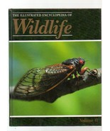 THE ILLUSTRATED ENCYCLOPEDIA OF WILDLIFE VOLUME 41 INVERTEBRATES - £3.07 GBP