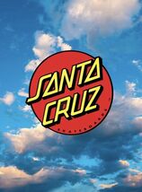 Santa Cruz Skateboards 12x8in Inches Aluminum Metal Sign Collage Thrashe... - $24.74