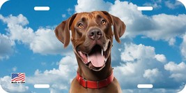 Rhodesian Ridgeback Smiling Dog Can Personalize Novelty Metal License Plate I - $8.90+