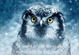 Owl Wisdom Wise fool Fools Foolish Idiot Novelty Poster Quotation Quality Print - £5.50 GBP+