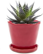 Chive "Tika" Ceramic Planter Pot: Adorable Plant Containers For Indoor And - £34.36 GBP