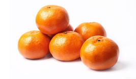 5 Murcott Orange Seeds Planting USA Gardening - $7.96