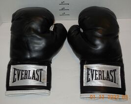 Everlast 100 Year Anniversary Logo Pro Style Training Sparring Gloves 12... - $29.65