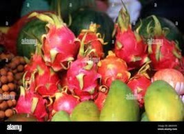 200 Seeds Hai&#39;nan Pink Pitaya Dragon Fruit Cactus Plant Seeds - £8.23 GBP