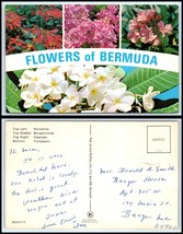 BERMUDA Postcard - Flowers Of Bermuda K5 - $2.96