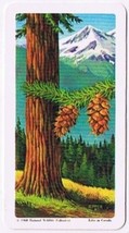 Brooke Bond Red Rose Tea Card #10 Douglas Fir Trees Of North America - $0.98