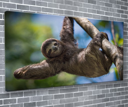 Smiling Sloth Canvas Print Animal Wall Art 55x24 Inch Ready To Hang  - £71.83 GBP