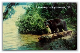 Generic Greetings Black Bear Weyauwega Wisconsin WI UNP Chrome Postcard W22 - £2.29 GBP