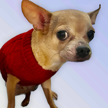 Elegant Sleeveless Knit Turtleneck Sweater for Dogs - £33.13 GBP