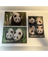 Vintage 2000 Postcard SAN DIEGO ZOO Wild Animal Park PANDA 6.5 x 4.5&quot; Lo... - $278.37 MXN