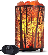 Himalayan Salt Lamp, Salt Rock Lamp Natural Night Light in Forest Design Metal B - $38.79