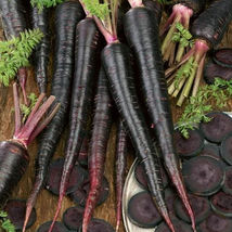 Ship From Us Black Nebula Carrot Vegetable Seeds - 2 G ~1,400 SEEDS-NON-GMO TM11 - £16.49 GBP