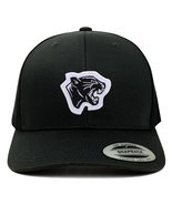 Trendy Apparel Shop Panther Head Patch 6 Panel Retro Baseball Mesh Cap - Black - $24.99
