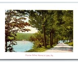 Popular Drive Along Harvey&#39;s Lake Pennsylvania PA UNP DB Postcard T2 - $6.88