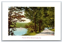 Popular Drive Along Harvey&#39;s Lake Pennsylvania PA UNP DB Postcard T2 - £5.39 GBP