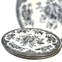 Royal Stafford Asiatic Pheasant Set Of 3 Salad / Starter Plates - UK Vin... - $47.60