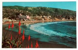 Laguna Beach Christmastime Aloes California CA Colourpicture UNP Postcard 1960s - £4.86 GBP