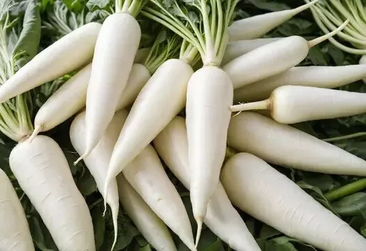 20  Snow White Carrot Seeds  Non-Gmo  Vegetable  Garden Panting  Organic... - $8.25