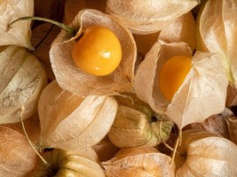 Grow In US Cape Gooseberry Tomatillo Seeds 100 Ct Large Fruit Husk Goldenberryus - £6.84 GBP