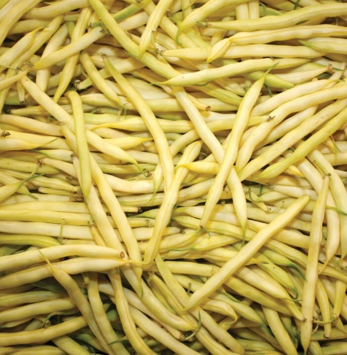 10 Gold Rush Wax Bean Seeds - $6.99