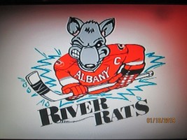 Albany River Rats Hockey Games 2002-2010 On Dvd &quot; Very Rare&quot; - £55.82 GBP