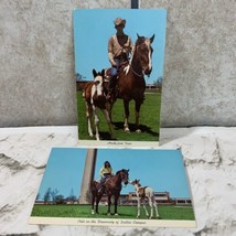 Collectible Postcard Lot Of 2 Howdy From Texas Cowboy On Horse Back With Fowl - £7.75 GBP