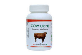 Best Quality COW URINE 60 Caps BY VHCA - 500 mg | Best Deal  BEST QUALITY - $14.75
