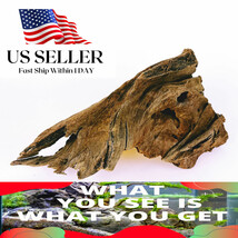 NATURAL MANGROVE DRIFTWOOD #M114 WYSIWYG - AQUASCAPING, SUPER PRICE!! DE... - $35.22 CAD