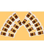 20 Pack The Surrender Novena Prayer Fr. Dolindo - $512.71 MXN