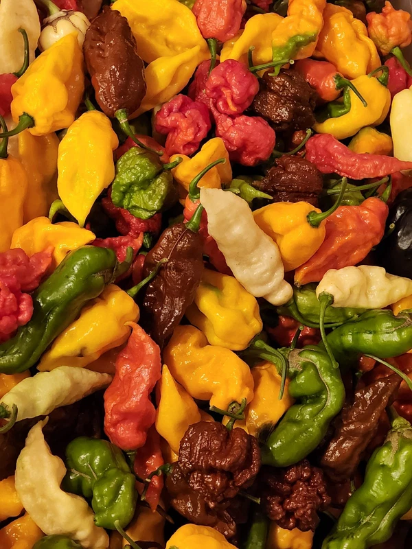 Random Pepper Seed Grab Bag! Premimum pepper seeds! Hot! Grow your garde... - $7.16