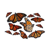 Monarch Butterfly Decal Set - Sizes shown in Second Example Image - $23.00