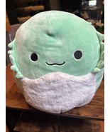 Bearded Dragon Squishmallow 12 In Mint Green White Stuffed Animal Pillow - $131.52 MXN
